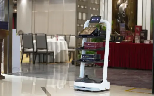 [P-BOT2] PuduBot 2 Robot